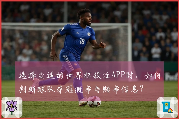 选择合适的世界杯投注APP时，如何判断球队夺冠概率与赔率信息？